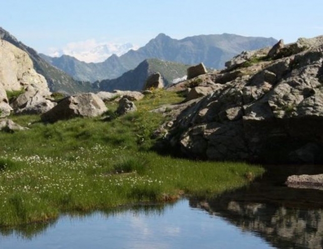  Orientierungslauf mit Experten 